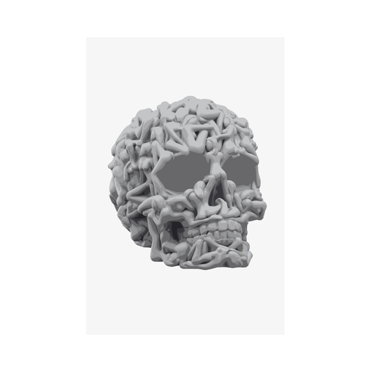 Skull Poster - White